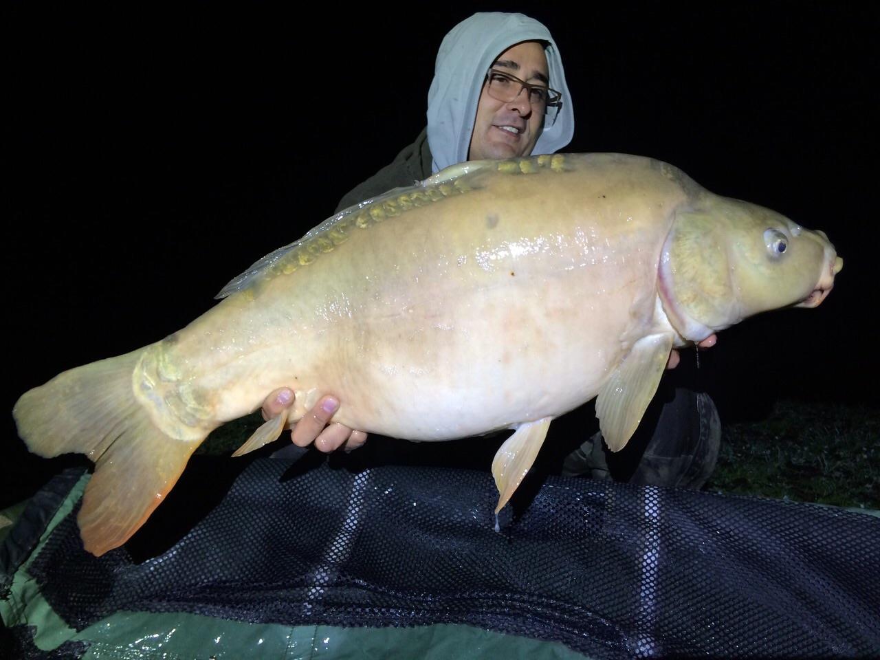 regiune Rhône-Alpes 2 noiembrie 2014 - img-20141102-wa0037.jpg